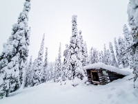 Riisitunturi National Park
